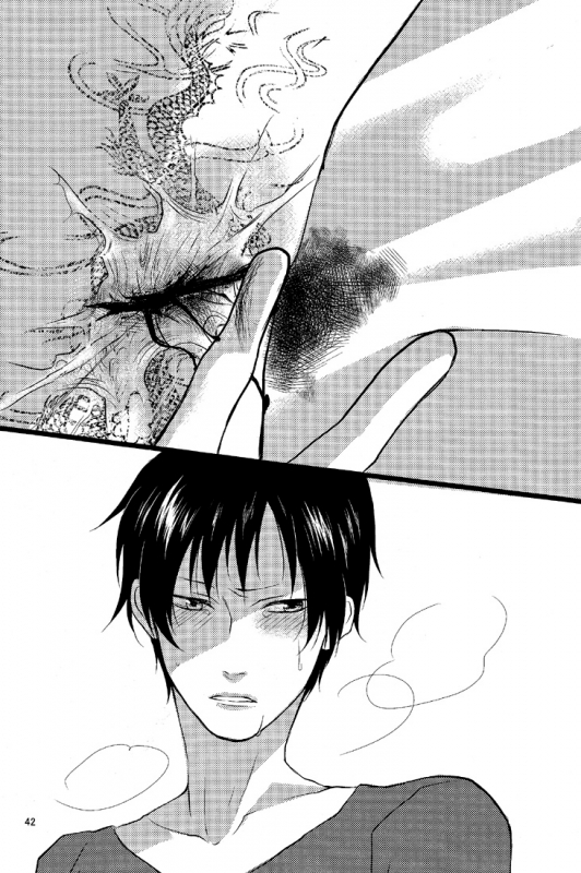 (GOOD COMIC CITY 17) [Eartheater (Dorina)] Cicatrix (Durarara!!) [English] [Yaoi-Sei]_43