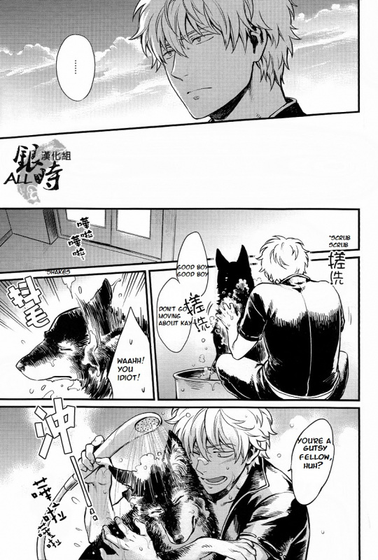 (HaruCC18) [3745HOUSE, tekkaG (MIkami Takeru, Haru)] HOW to SPOIL YOUR DOG (Gintama) [English] [valc21]_18