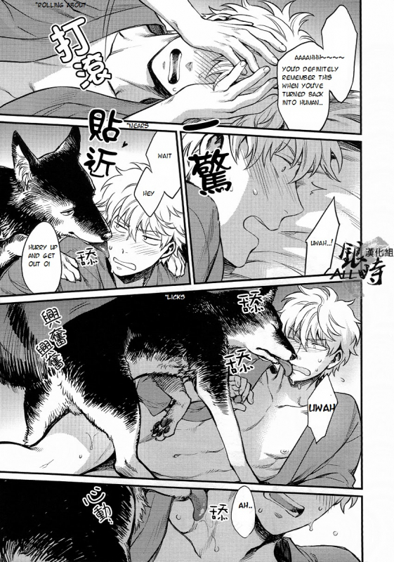 (HaruCC18) [3745HOUSE, tekkaG (MIkami Takeru, Haru)] HOW to SPOIL YOUR DOG (Gintama) [English] [valc21]_24