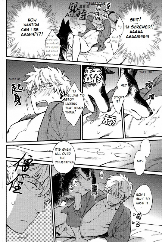 (HaruCC18) [3745HOUSE, tekkaG (MIkami Takeru, Haru)] HOW to SPOIL YOUR DOG (Gintama) [English] [valc21]_27