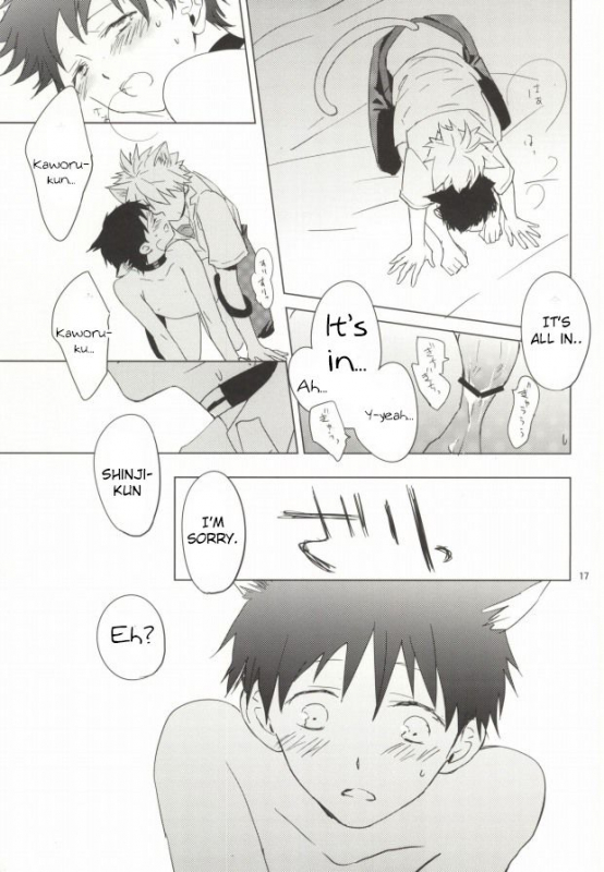 (HaruCC18) [Mm. (Moto)] Shin-chan ga Hatsujouki ni Narimashita. (Neon Genesis Evangelion) [En_15