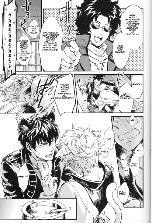 (HaruCC19) [3745HOUSE (MIkami Takeru)] Like cat and dog (Gintama) [English]_13