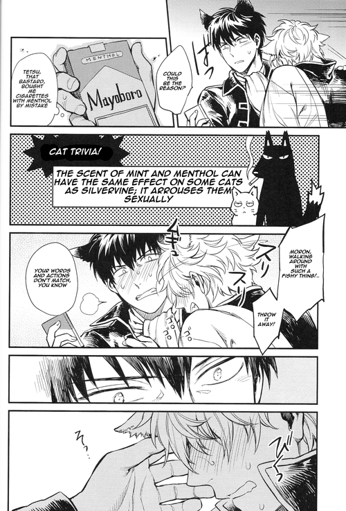 (HaruCC19) [3745HOUSE (MIkami Takeru)] Like cat and dog (Gintama) [English]_14