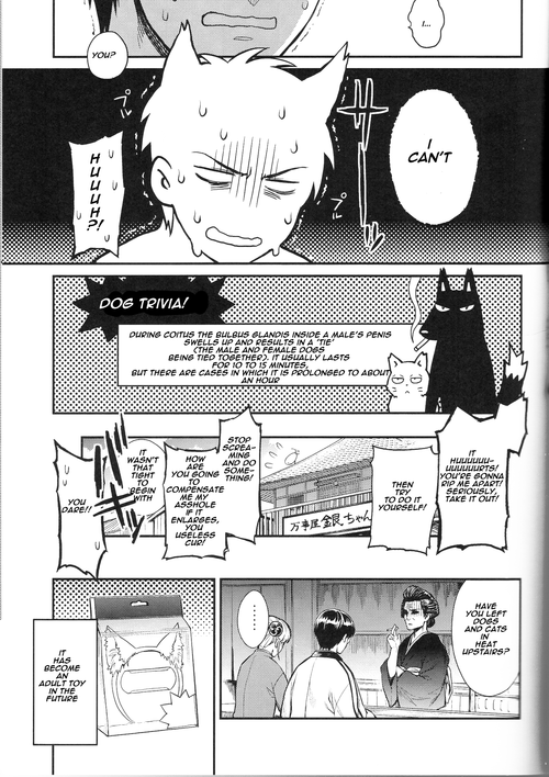 (HaruCC19) [3745HOUSE (MIkami Takeru)] Like cat and dog (Gintama) [English]_27