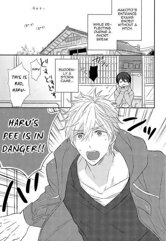 (HaruCC20) [Sneeeze (Kubu)] Yokou Enshuu (Free!) [English]_04