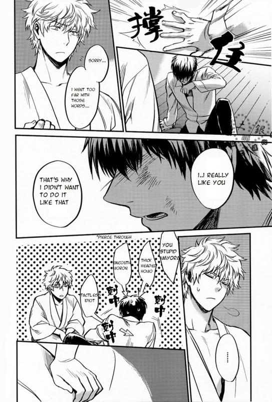 (Hiji-Gin Yoroshiku Onegai shimasu) [3745HOUSE (MIkami Takeru)] Hallo! Mr.Stupid (Gintama) [Engli_28