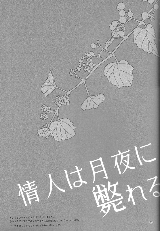 (Hyattou Ryouran ~Kimi no Heart o Shirahadori~ Ni) [END (END)] Joujin wa Ts_27