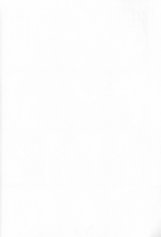 (Hyattou Ryouran ~Kimi no Heart o Shirahadori~) [Sousutai (Kitsuwo)_06