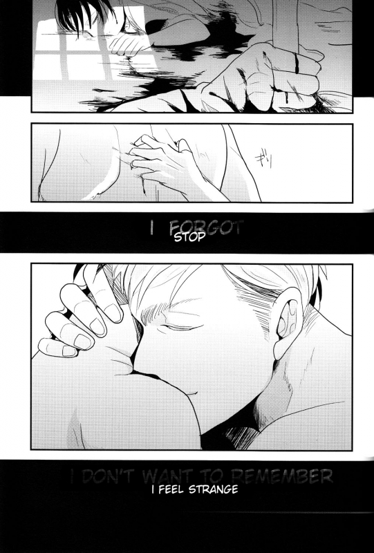 (Kabegai Chousa Haku) [Hokoushayou Shingou (Aca)] Yasashisa (Shingeki no Kyojin) [English] [Moy Moe _22