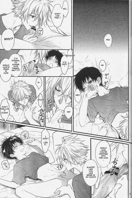 (Kimi to no Rendan 3) [TETSU-SABI (Huduki Roa)] Nemurenuyoru ni Kimi o Daku (Neon Genesis Evang_17