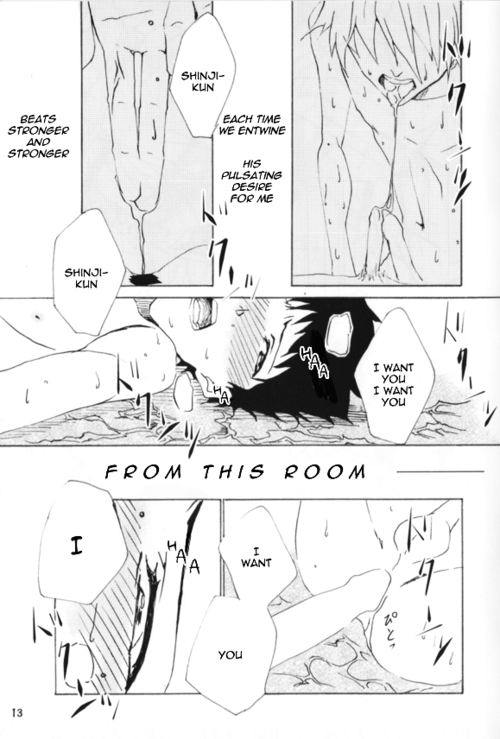 (Kimi to no Rendan Osaka 2) [Kurenai Okome (Shio Onigiri)] Maguwau Niku (Neon Genesis Eva_13