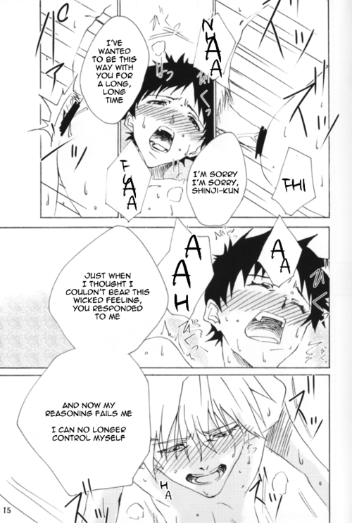 (Kimi to no Rendan Osaka 2) [Kurenai Okome (Shio Onigiri)] Maguwau Niku (Neon Genesis Eva_15