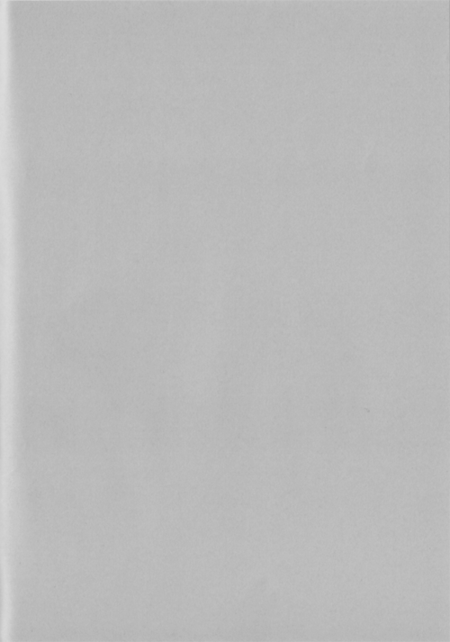 (Kimi to no Rendan Osaka 2) [Kurenai Okome (Shio Onigiri)] Maguwau Niku (Neon Genesis Eva_25