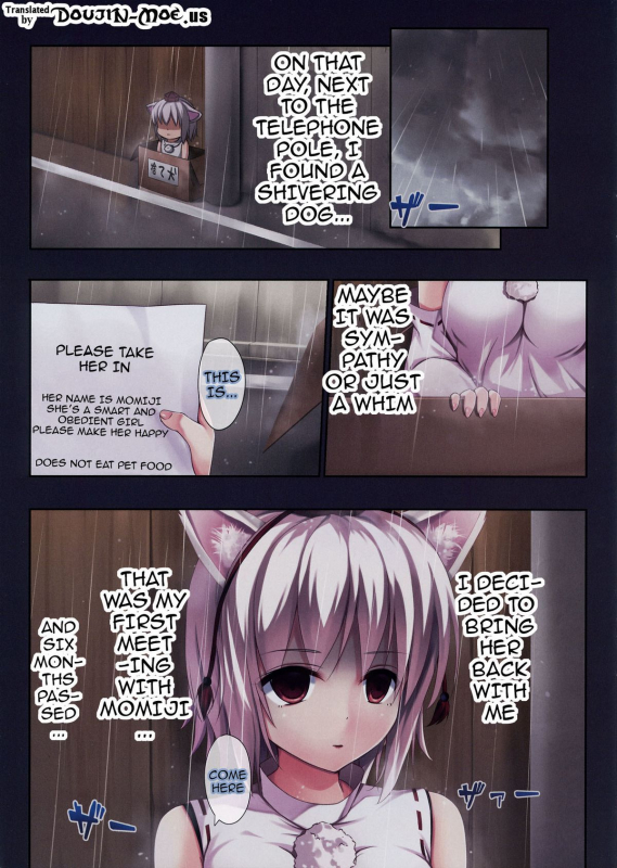 (Kouroumu 10) [Ra-raradan (Ouka)] TOHO ~Kemomimi Hatsujou~ (Touhou Project) [English] {doujin-moe.us}_02