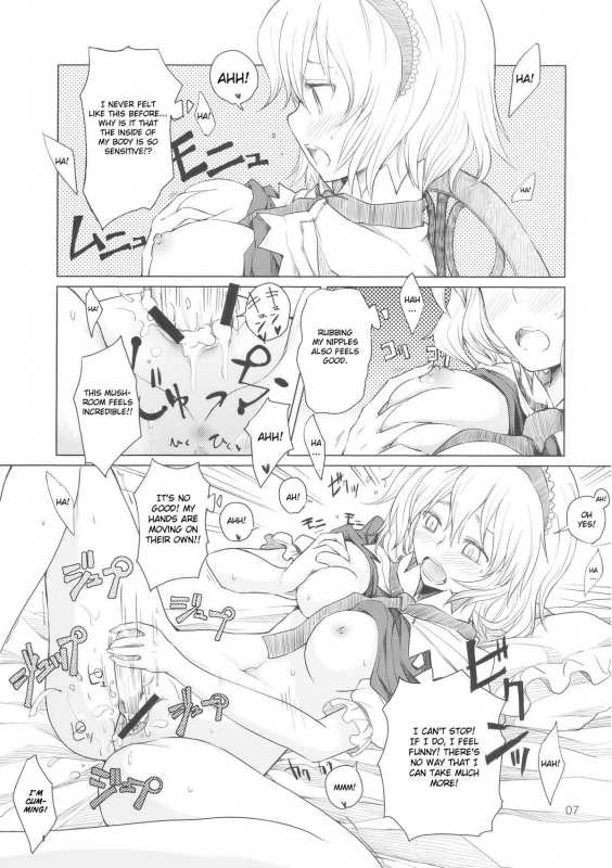 (Kouroumu 5) [MMU2000 (Mishima Hiroji)] Alice no Jikan (Touhou Project) [English]_07