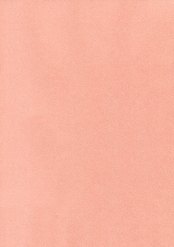 (Kouroumu 5) [Nimame (Nakayama Miyuki)] TORATONE (Touhou Project) [English]_19