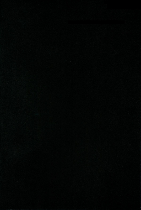 (Kouroumu 9) [100yen MoFA (Mirino)] Myon Shota (Touhou Project) [English] =TV=_02