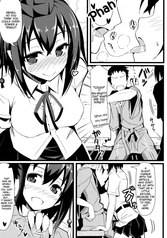 (Kouroumu 9) [Kyokutou Koumuten (Kikunosukemaru)] GIRLFriend's 3 (Touhou Project) [English]_03