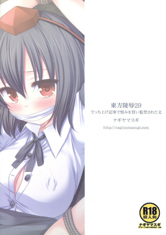 (Kouroumu 9) [Nagiyamasugi (Nagiyama)] Touhou Ryoujoku 29 Decc_01