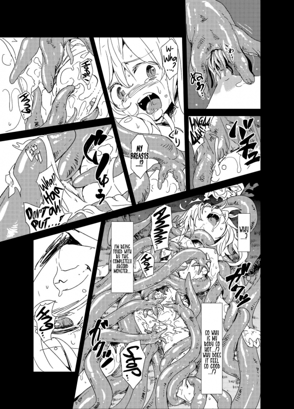 (Kouroumu 9) [Satei (s73d)] Shoku Fla (Touhou Project) [English] =LWB=_07