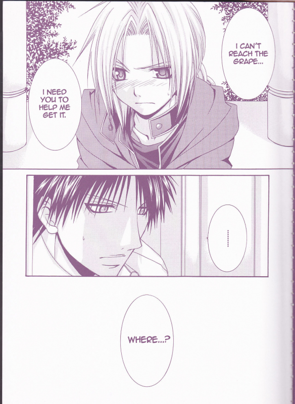 (Mimiket 11) [VALIANT (Shijima Kiri)] MELISSA (Fullmetal Alchemist) [English]_04