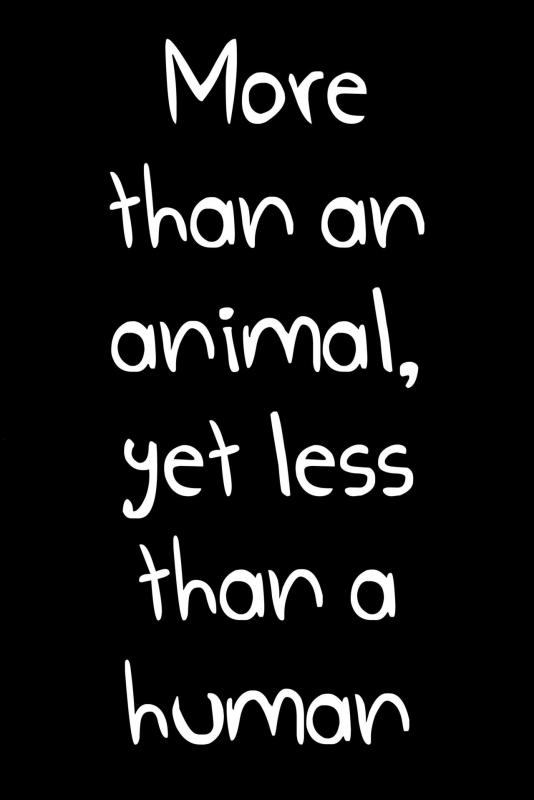 (Ou no Utsuwa 5) [Koi no Danmenzu (Iroito)] Doubutsu Ijou Ningen Miman (FateZero) [English] {doujins._02