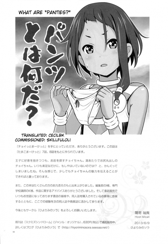 (Puniket 27) [Hiyorimi no Sora (Hiyori Mizuki)] Choi tto Market (Tamako Market) [English] [Cecilbk]_12