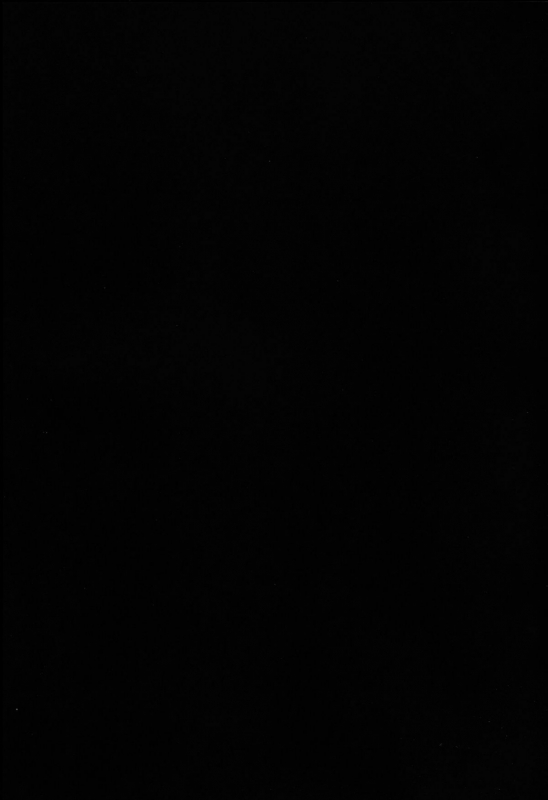 (Reitaisai 10) [100yenmofa (_17