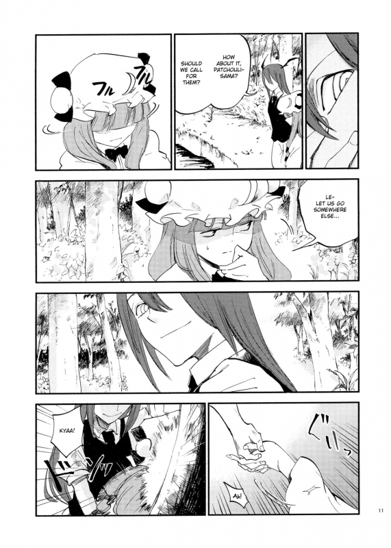 (Reitaisai 10) [Shironegiya (miya9)] Cloudy Sky Library (Touhou Project) [English]_11