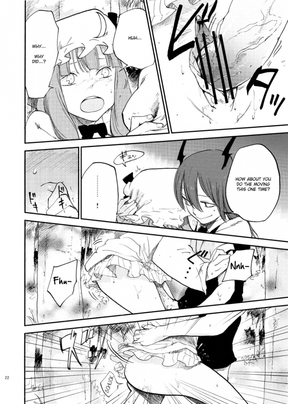 (Reitaisai 10) [Shironegiya (miya9)] Cloudy Sky Library (Touhou Project) [English]_22