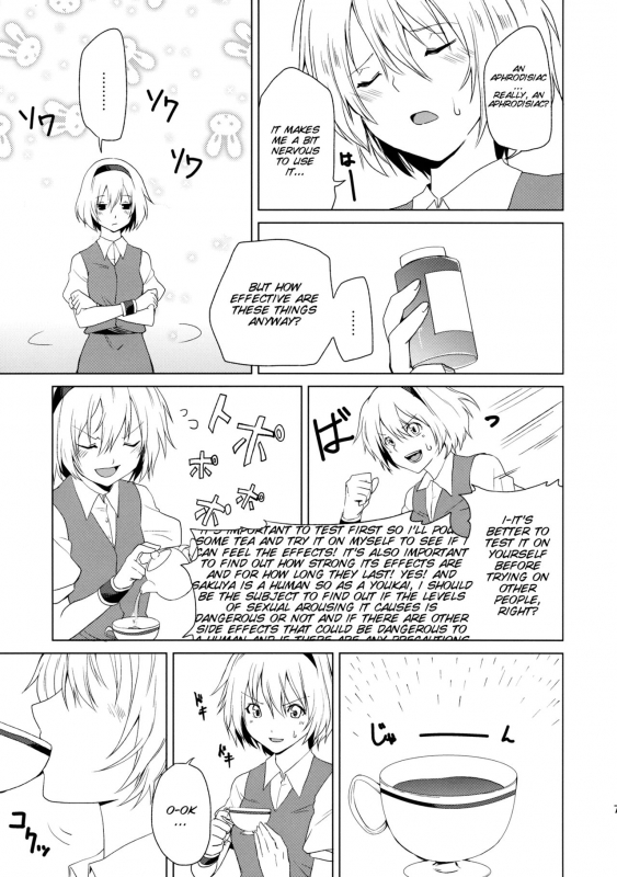 (Reitaisai 10) [Tatakai no Kiseki (Senyuu)] Hajimete no Biyaku (Touhou Project) [English] [SMDC]_07