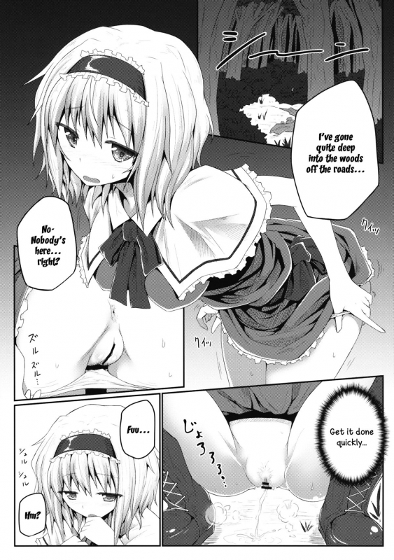 (Reitaisai 10) [e☆ALI-aL! (Ariesu Watanabe)] Nozomiusu  Faint Hope (Touhou Project) [English]_05