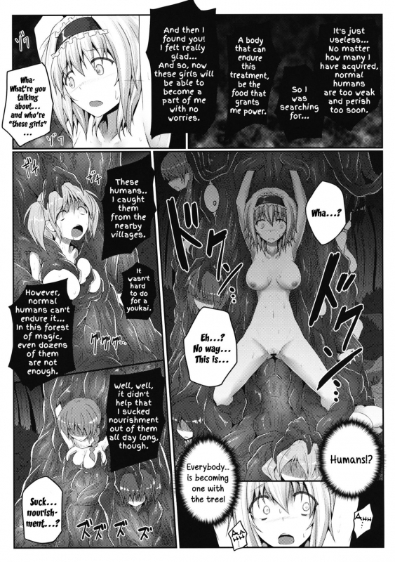 (Reitaisai 10) [e☆ALI-aL! (Ariesu Watanabe)] Nozomiusu  Faint Hope (Touhou Project) [English]_13