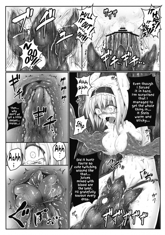 (Reitaisai 10) [e☆ALI-aL! (Ariesu Watanabe)] Nozomiusu  Faint Hope (Touhou Project) [English]_17