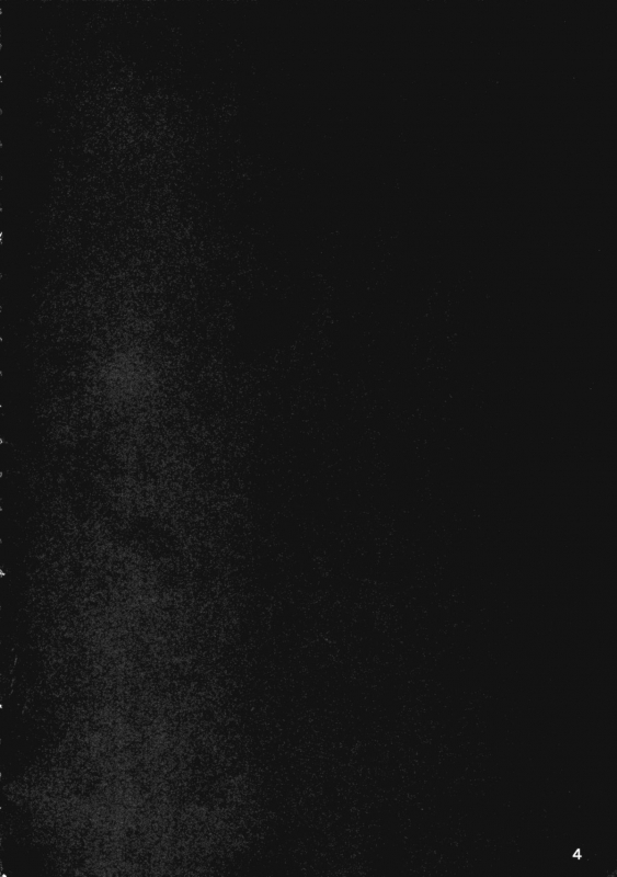 (Reitaisai 11) [Tetsu no Otoshigo (Chirorian)] Neko no Kimochi wa Futeikei (Touhou Project) [English]_02