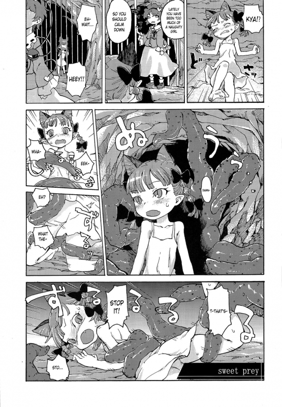 (Reitaisai 11) [Wasre Kaban (Nametake)] HEAVEN and HELL (Touhou Project) [English]_58