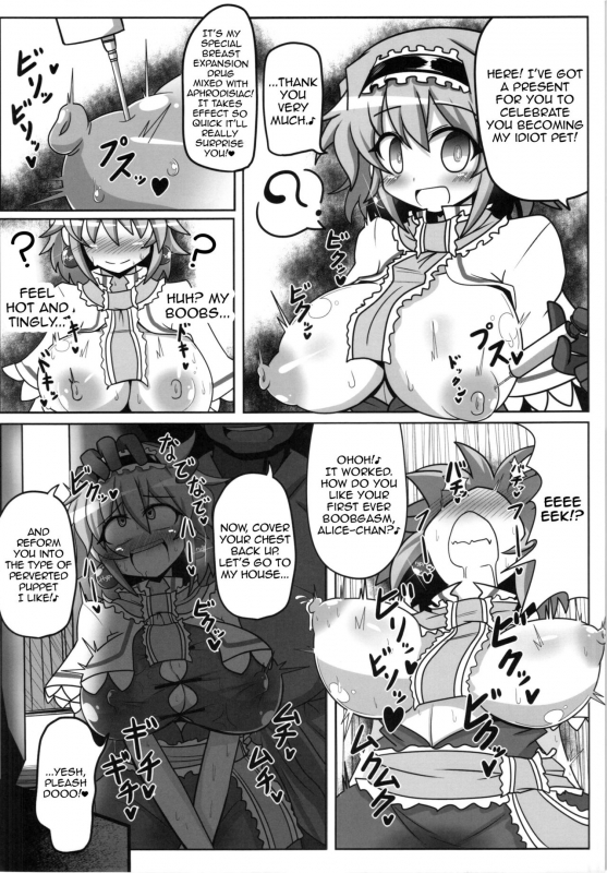 (Reitaisai 12) [Ato Nana Fun (Rindou)] Alice to Sex! (Touhou Project) [English] [Toks]_04