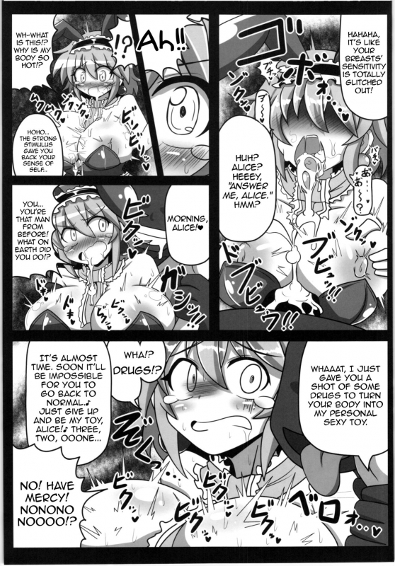 (Reitaisai 12) [Ato Nana Fun (Rindou)] Alice to Sex! (Touhou Project) [English] [Toks]_07