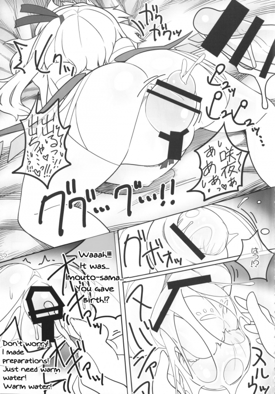 (Reitaisai 12) [Yashiya (YASSY)] SakuFla (Touhou Project) [English]_55