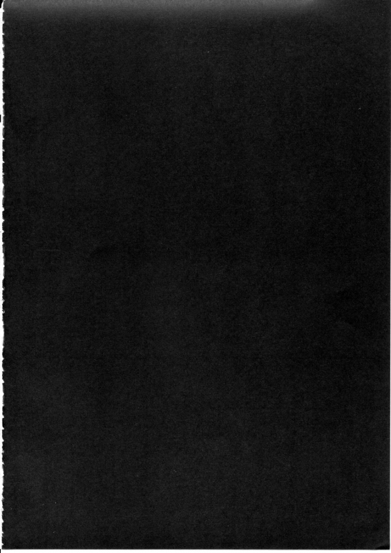 (Reitaisai 12) [e☆ALI-aL! (Ariesu Watanabe)] Gokuchuu Seikatsu ~Sanae Hachi~ (Touhou Project) [English]_02