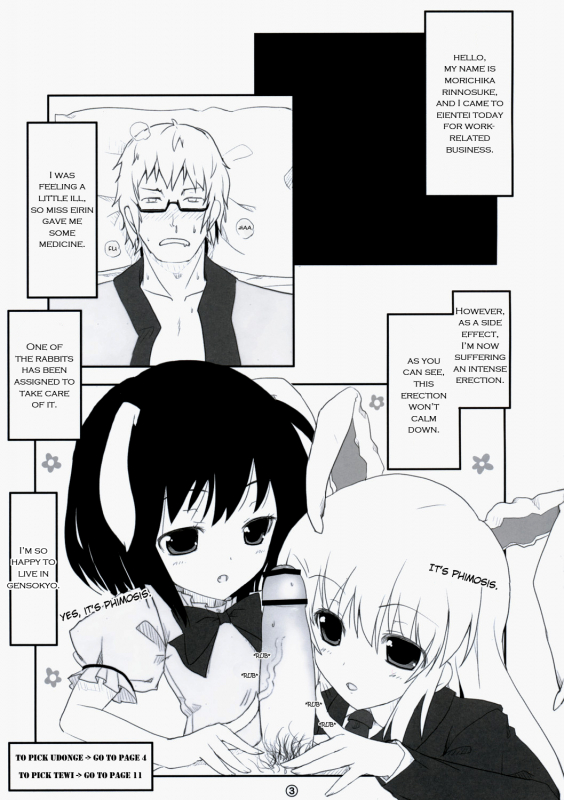 (Reitaisai 6) [Itou Life] Touhou Usa Usa (Touhou Project) [English] [EHCOVE]_01