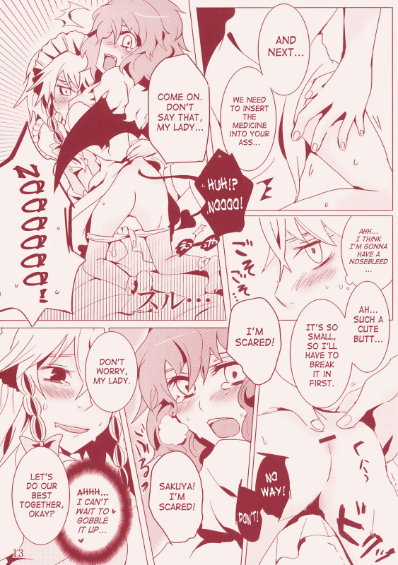 (Reitaisai 6) [Rika Koushu (Kino Asana)] Kanbyou Dattara Shika_12