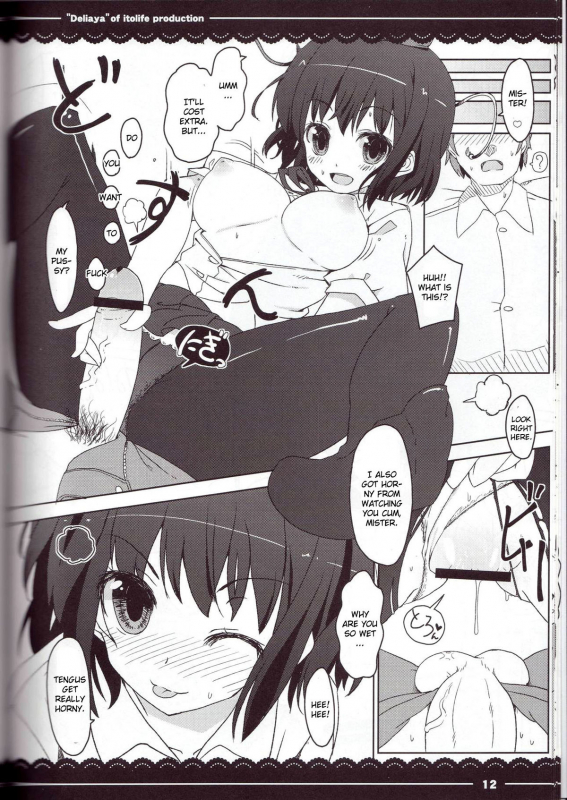 (Reitaisai 7) [Itou Life] Deliaya (Touhou Project) [English] [CGRascal]_12