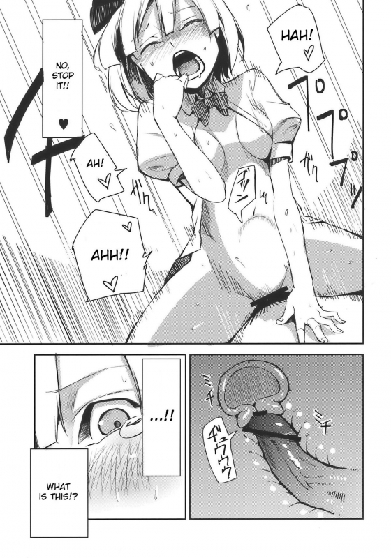 (Reitaisai 7) [Shironegiya (miya9)] Myon na Otsukai (Touhou Project) [English]_12