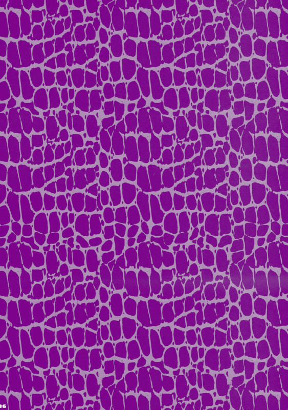 (Reitaisai 8) [Aimaimoko (Moko)] Prince Tenko wa Hatsujouki (Touhou Project) [English] [darknight]_35