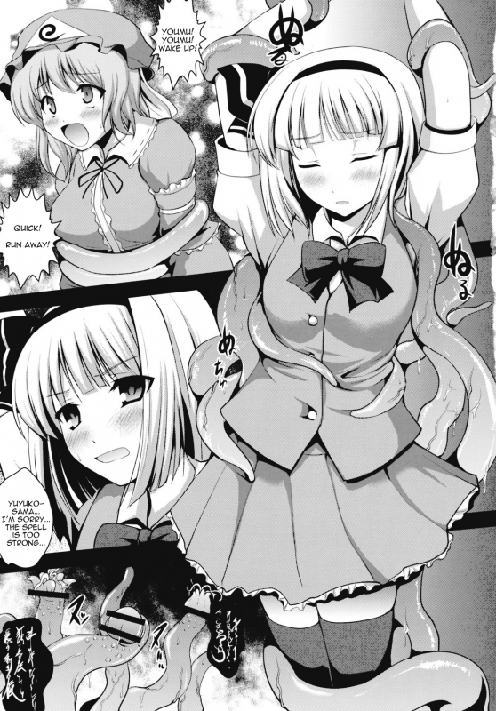 (Reitaisai 8) [An-Arc (Hamo)] Ugetsu Sumizome Sakura (Touhou Project) [English] [Sharpie Translations]_04