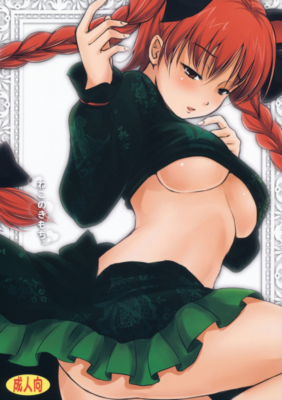 (Reitaisai 8) [Avion Village F (Fechi)] Neko no Kimochi. (Touhou Project) [English] [desudesu]_00