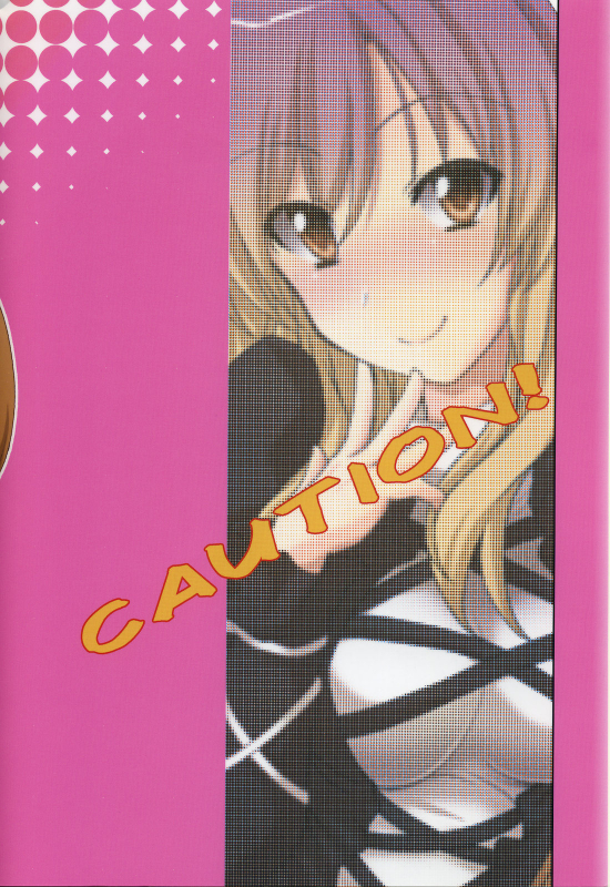 (Reitaisai 8) [True RIDE (Shinjitsu)] Hijirin to Sex shimasho  Lets Have Sex w_29