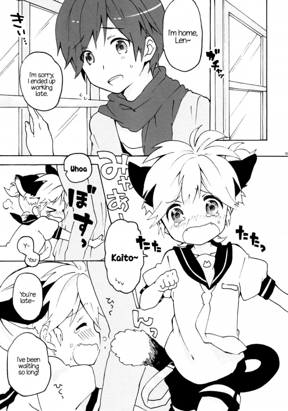 (Reitaisai 8) [hey you! (Non)] Nuko Len-kyun to Nuko Nuko suru Hon.  Kitty_03