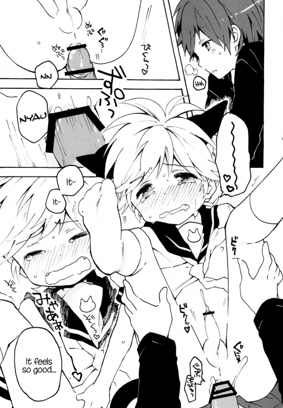 (Reitaisai 8) [hey you! (Non)] Nuko Len-kyun to Nuko Nuko suru Hon.  Kitty_15